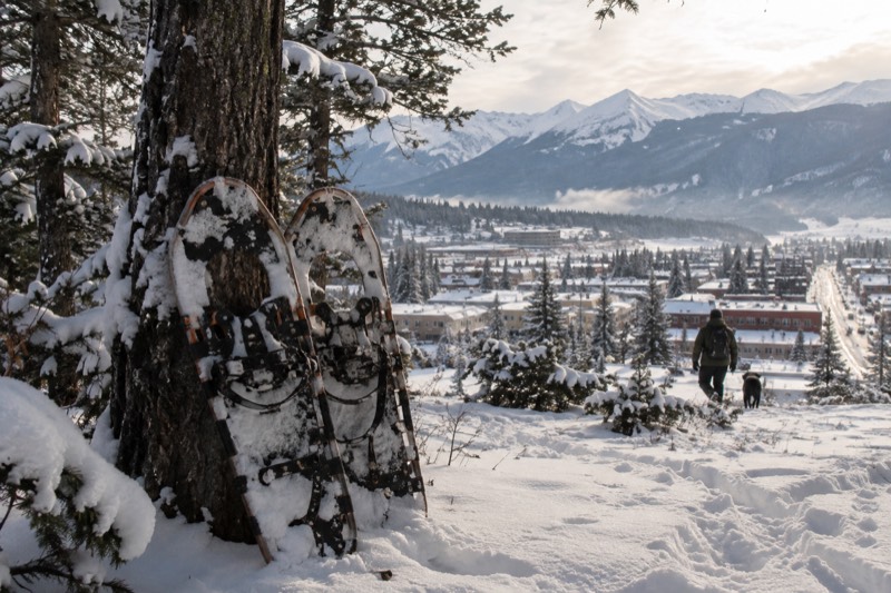 Snowshoe Tour With Pickup