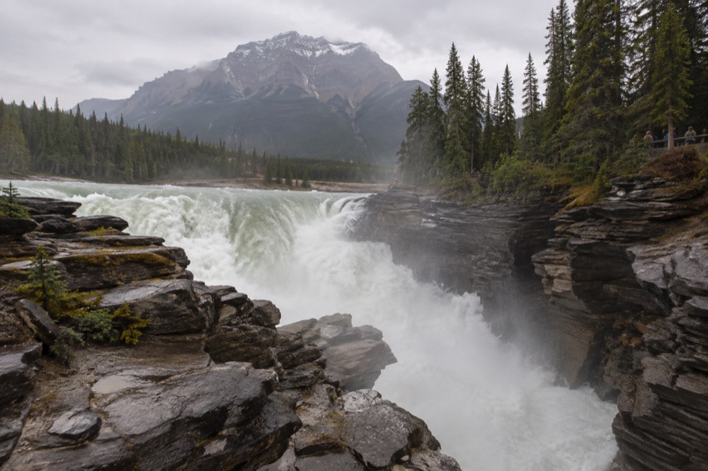 Athabasca Falls pouring through its narrow quartzite gorge with mist rising