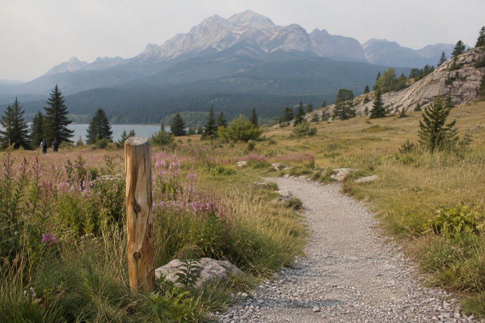 A mountain trail marker at the edge of a subalpine meadow in Jasper National Park