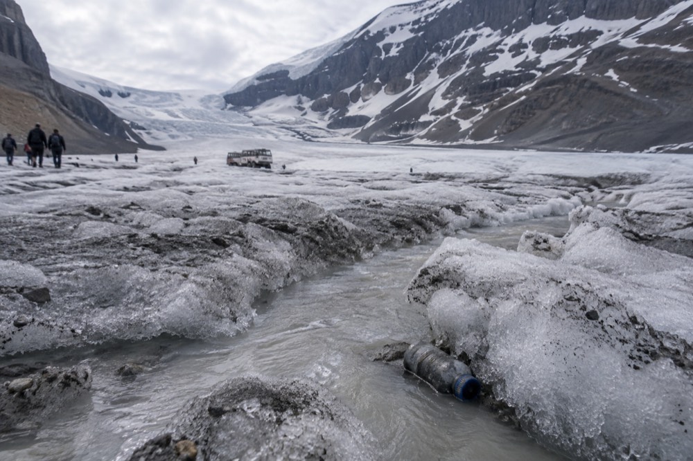 Meltwater streams carving channels across the surface of the Athabasca Glacier