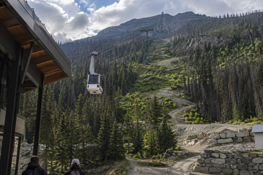 A gondola cabin travelling up a steep forested mountainside toward a rocky summit