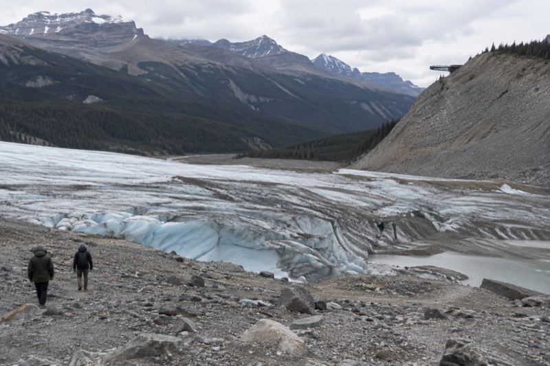 Glacier category card, showing the glass-floored Columbia Icefield Skywalk curving out over the Sunwapta Valley with the Athabasca Glacier behind it, standing in for seven icefield and Icefields Parkway tours compared on this page.