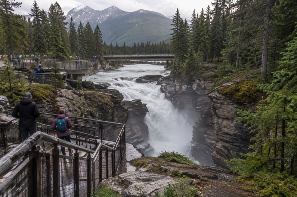 Viewing platforms and bridges above the narrow canyon at Athabasca Falls
