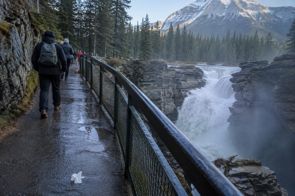 Paved path and railings along the canyon walk at Athabasca Falls