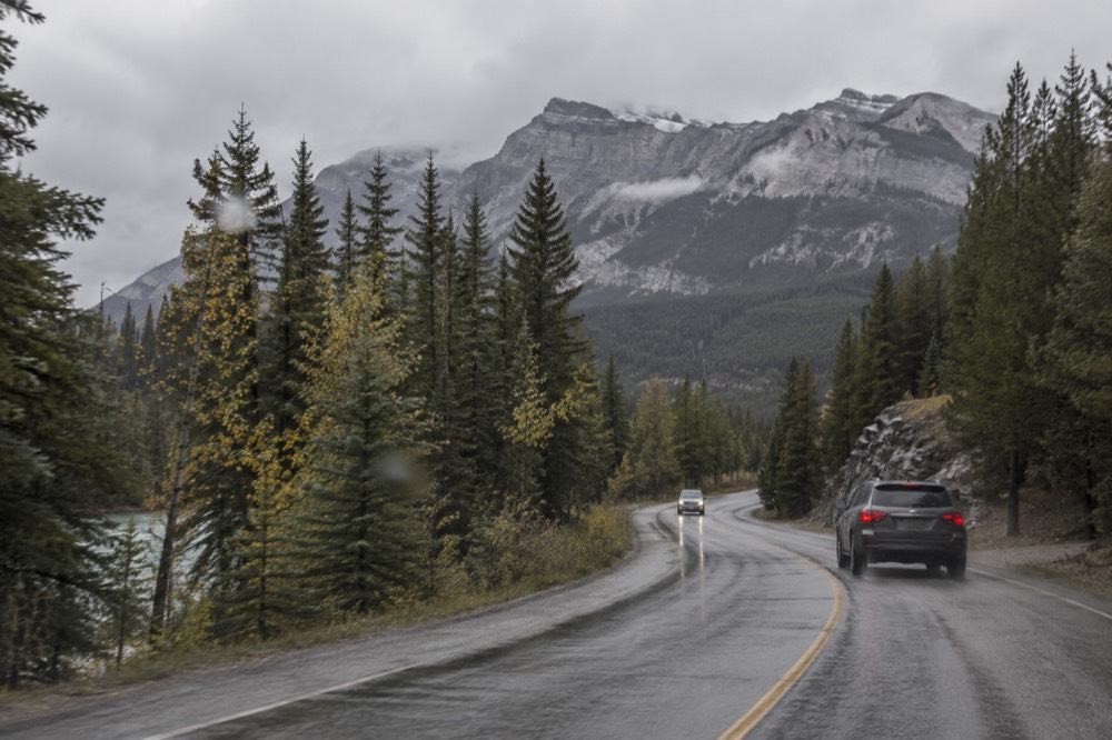 A park entrance road winding through tall evergreen forest toward distant mountains