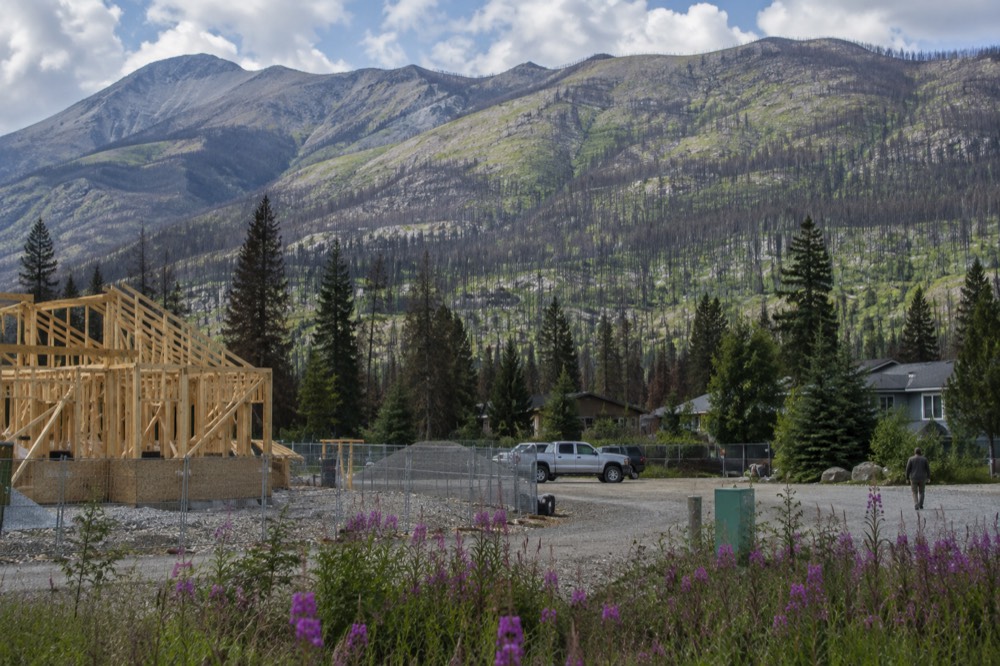 Forested mountain slopes in Jasper National Park with new green regrowth