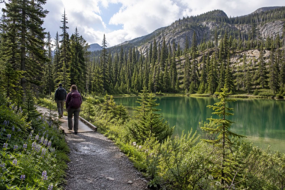 Hikers on a reopened trail with wildflowers and mountain peaks beyond