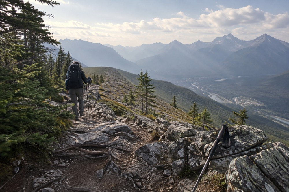 A steep forest trail breaking into open alpine ridge with mountain views