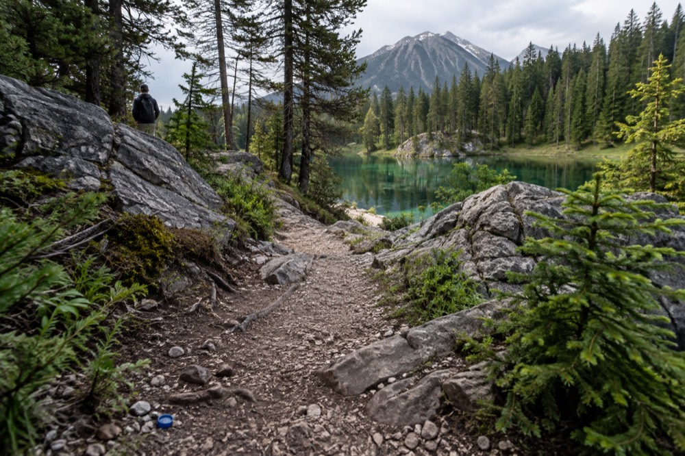 A forest trail winding between smooth rock outcrops toward a small green-blue lake