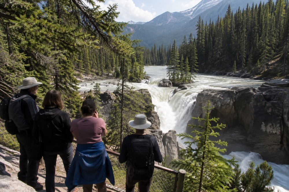 A guided tour group standing at a viewpoint above a turquoise river in Jasper National Park