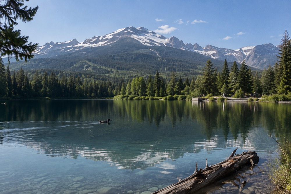 A lake surrounded by evergreen forest under a blue summer sky with distant snow peaks